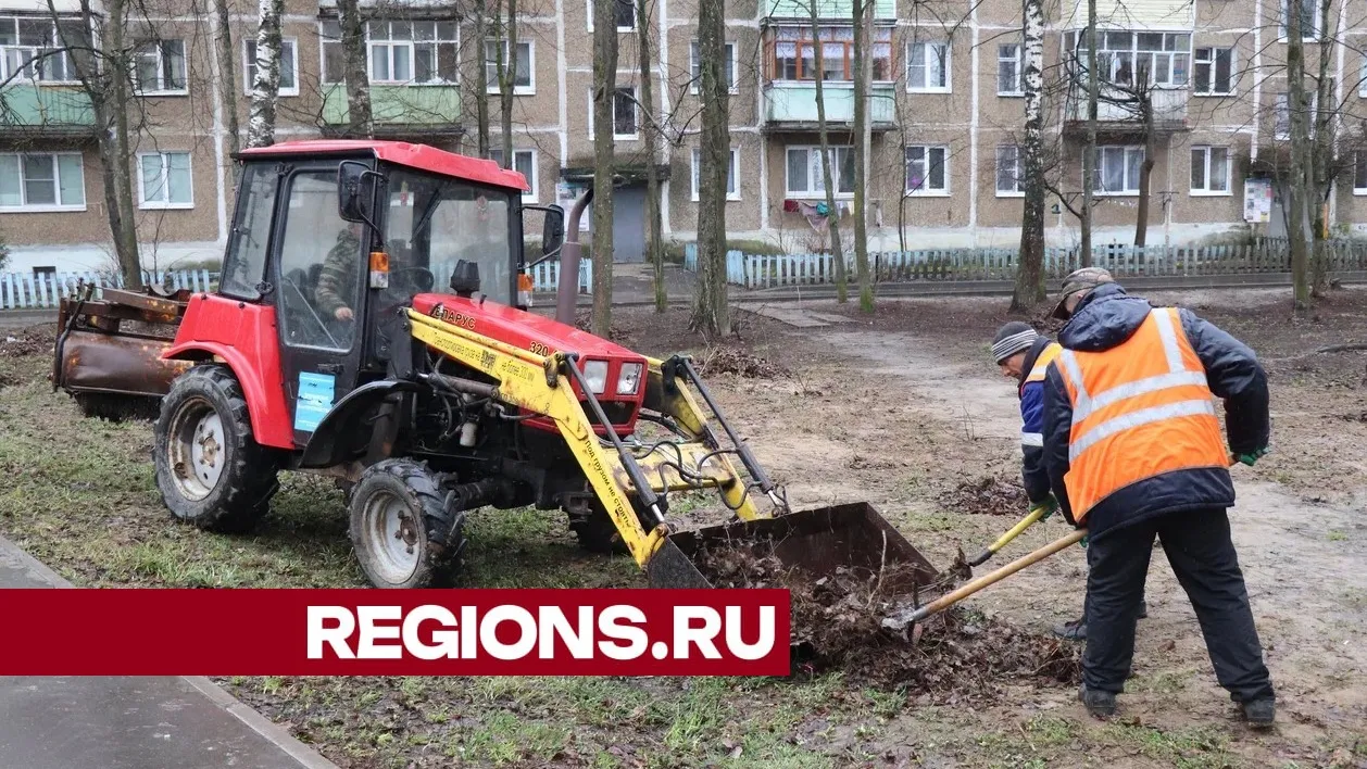 Фото: Василий Тремасов