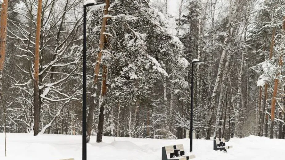 Фото: медиасток.рф