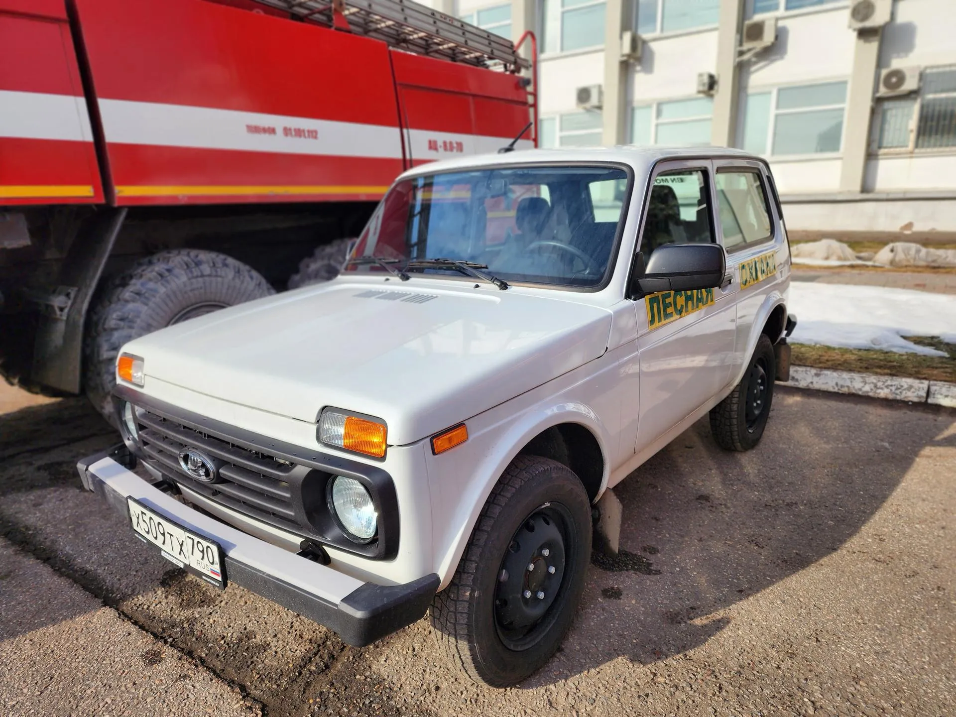 REGIONS/Елена Шумакова