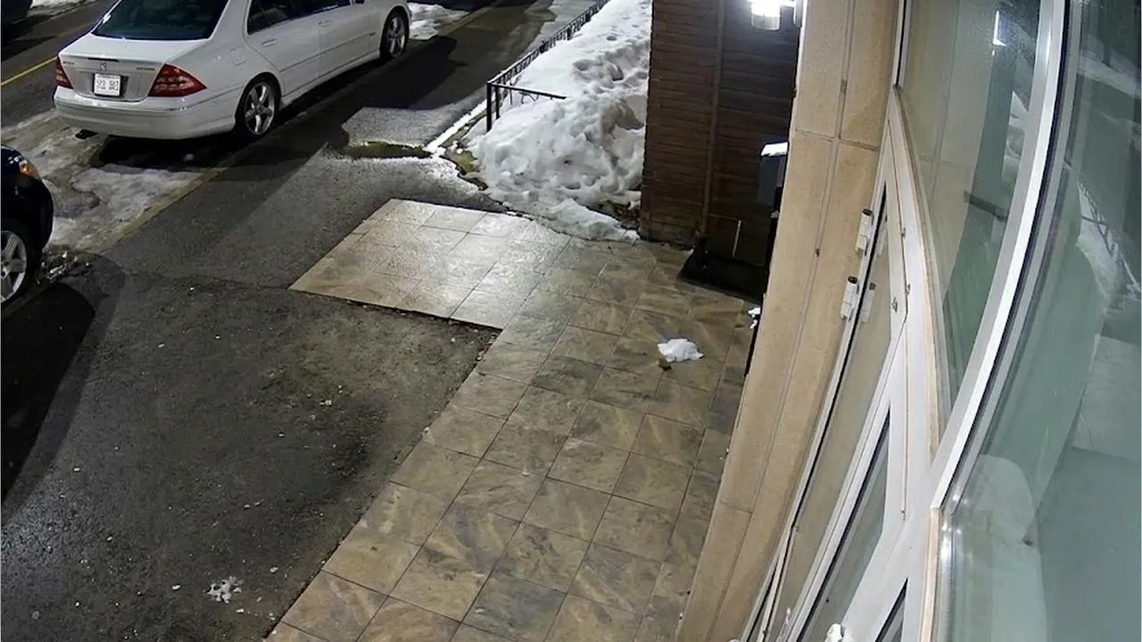 REGIONS/Сгенерировано нейросетью