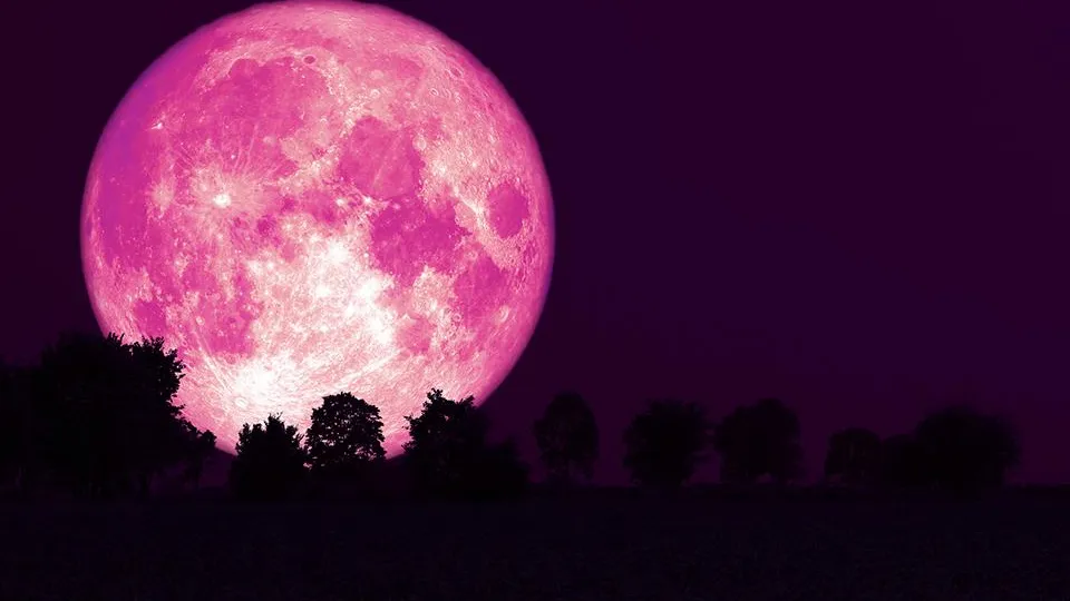 Фото: istockphoto.com