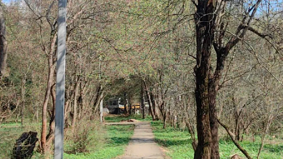 Фото: Администрация городского округа Солнечногорск