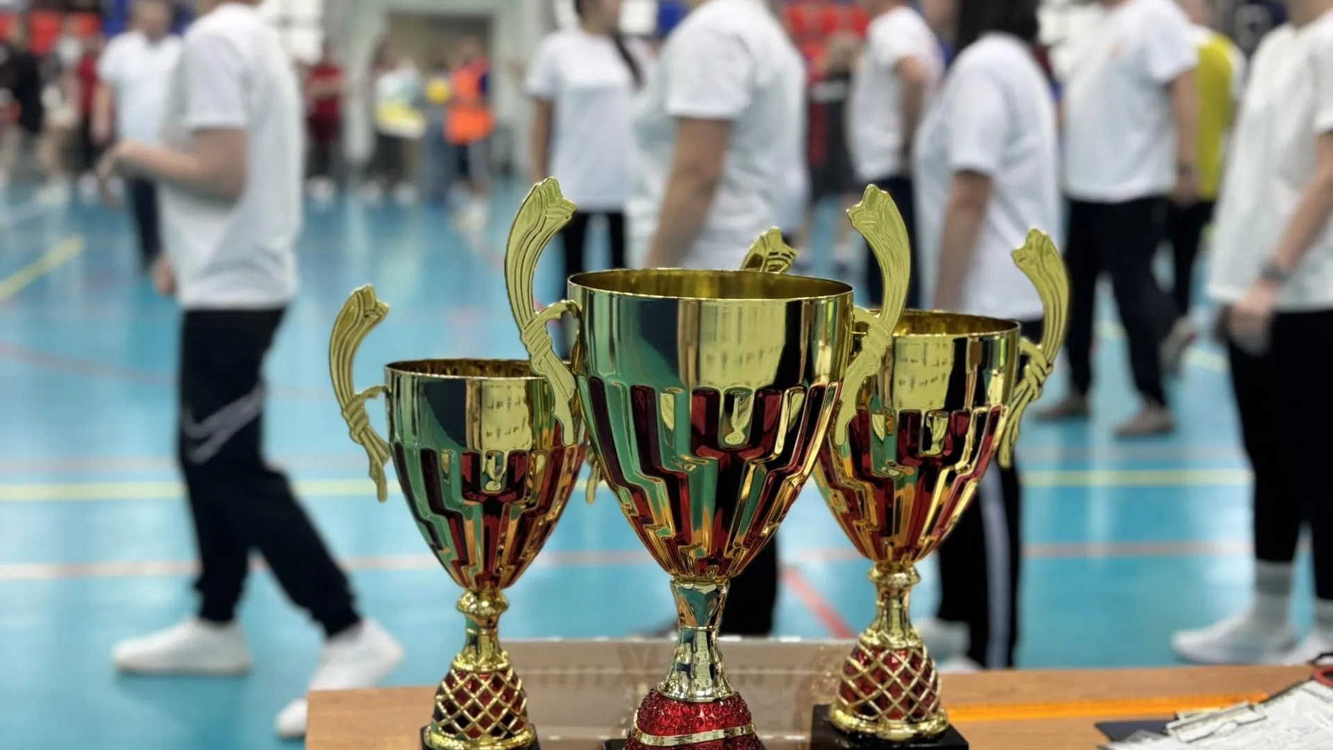 МедиаБанк Подмосковья/Татьяна Рунова