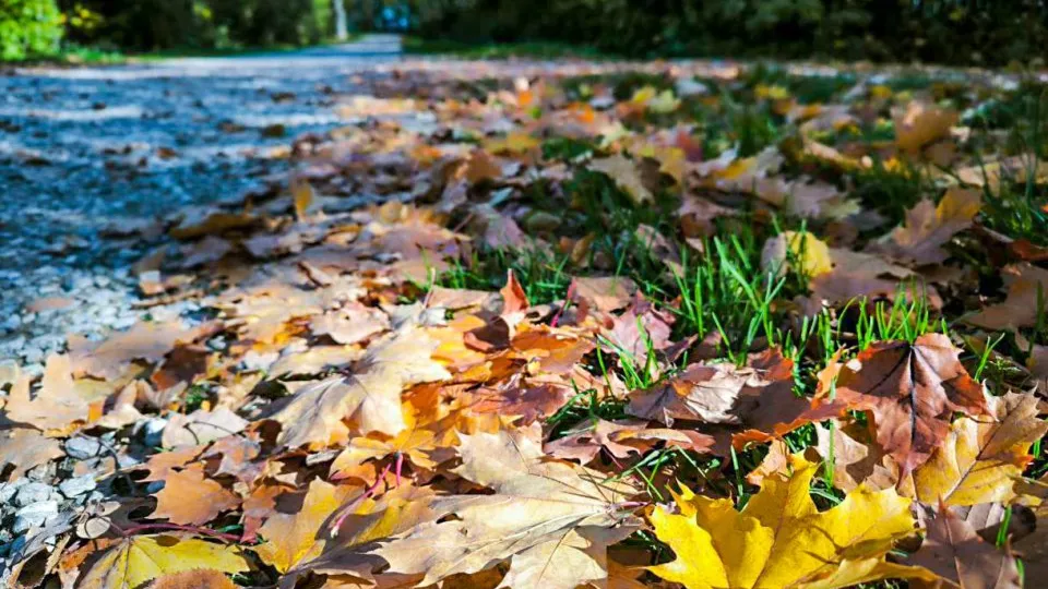 Фото: REGIONS/Роман Малышенко