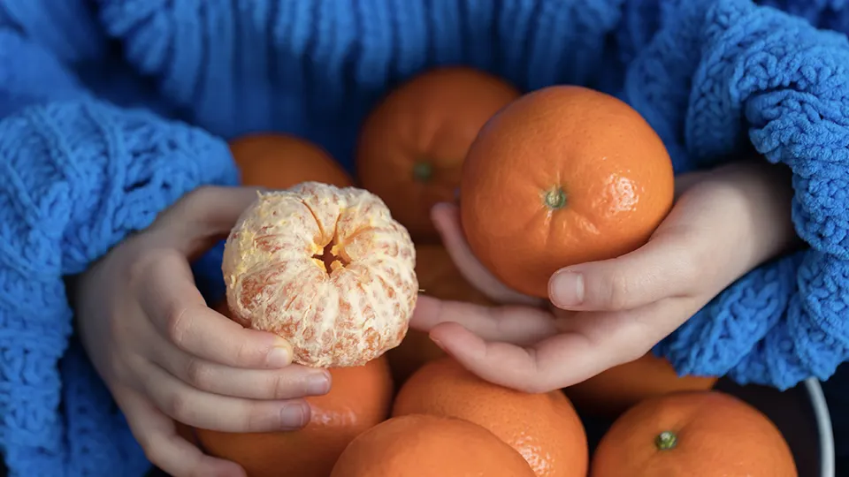 Фото: istockphoto.com/puhimec