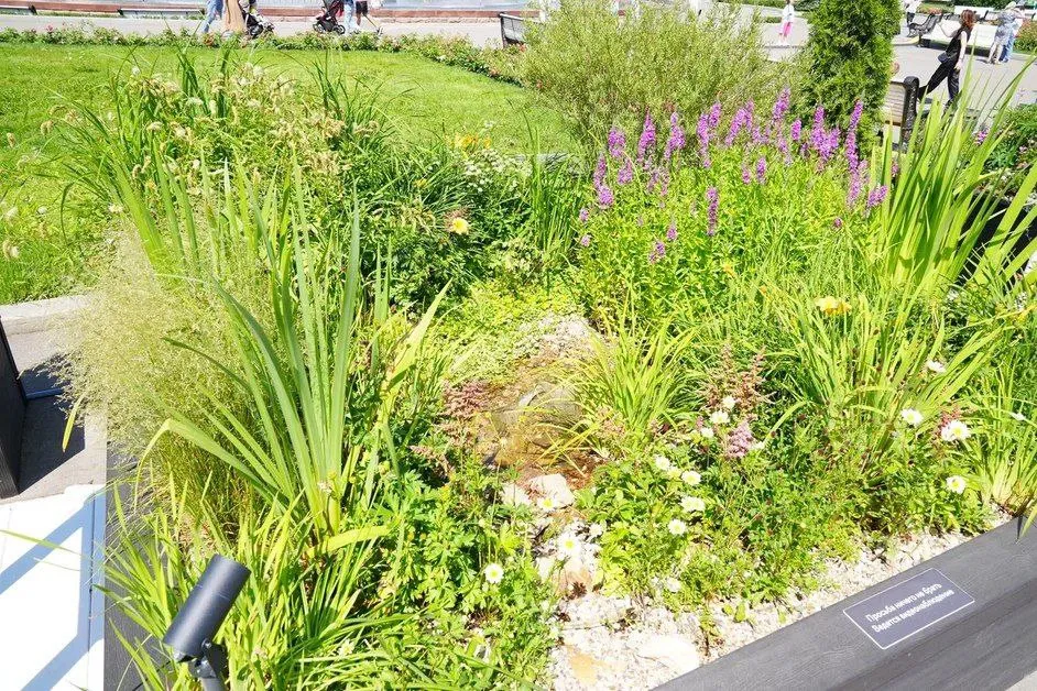 Фото: Сергей Хакимов