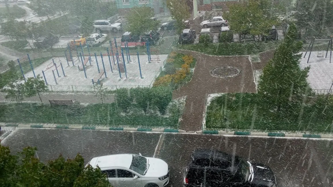 Фото: Екатерина Широкая