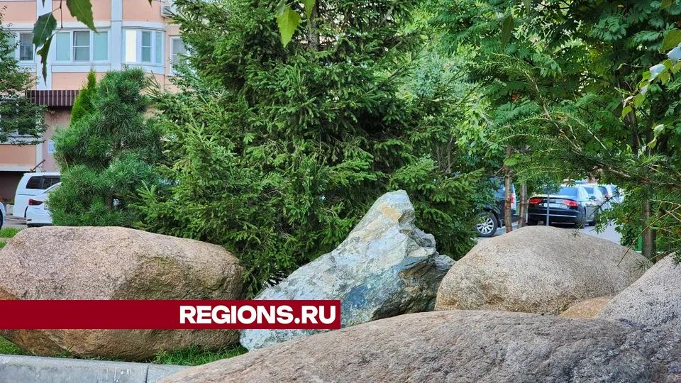 Фото: Мария Андрюхина