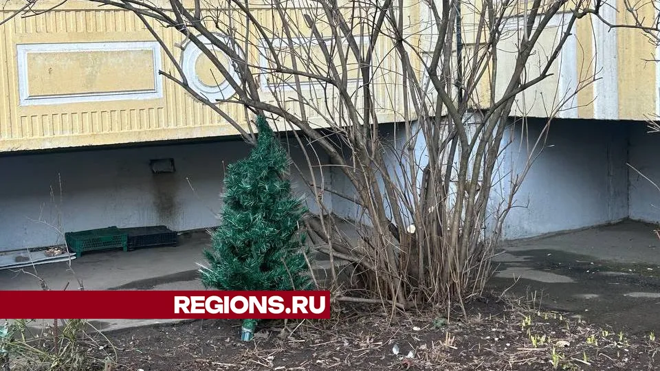 Фото: REGIONS/Елизавета Мелентьева