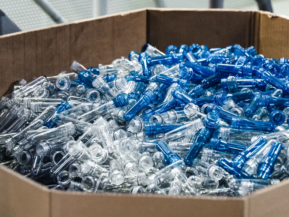 Фото: Иван Чижов