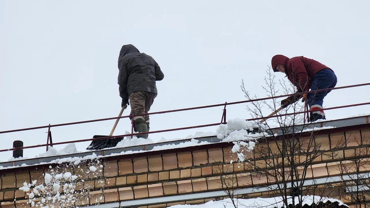 REGIONS/Ольга Аввакумова