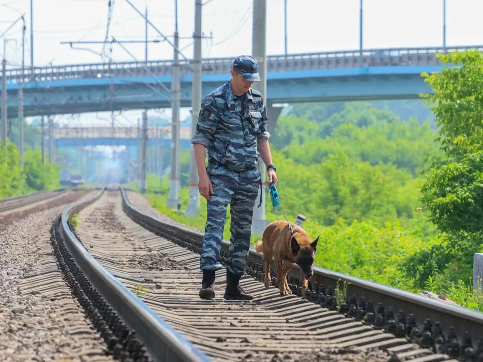 Фото: t.me/podolskadm