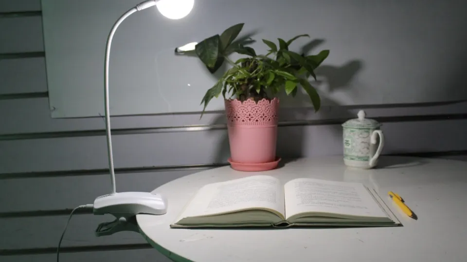 Фото: pxhere.com