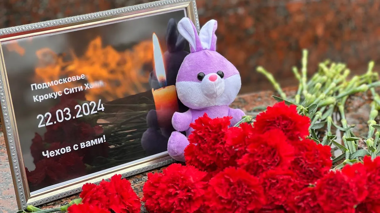 фото: Собакин Official / telegram