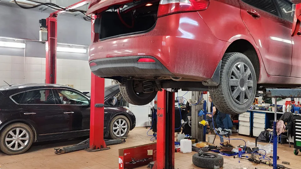 Фото: МедиаБанк Подмосковья/Ольга Антонова