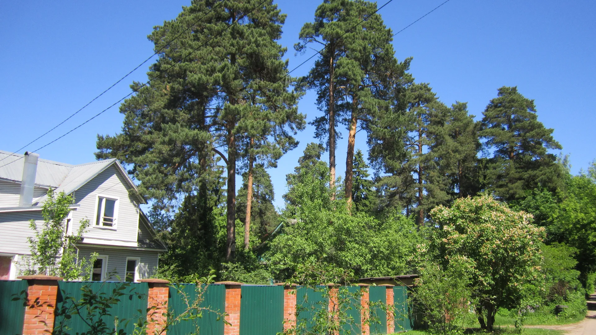 Фото: REGIONS/Олег Книжник