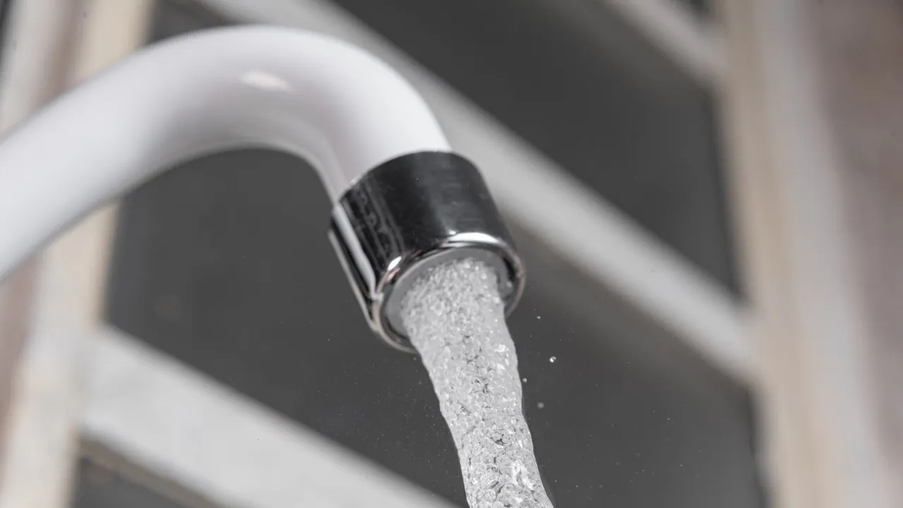 Фото: freepik.com / Mateus Andre