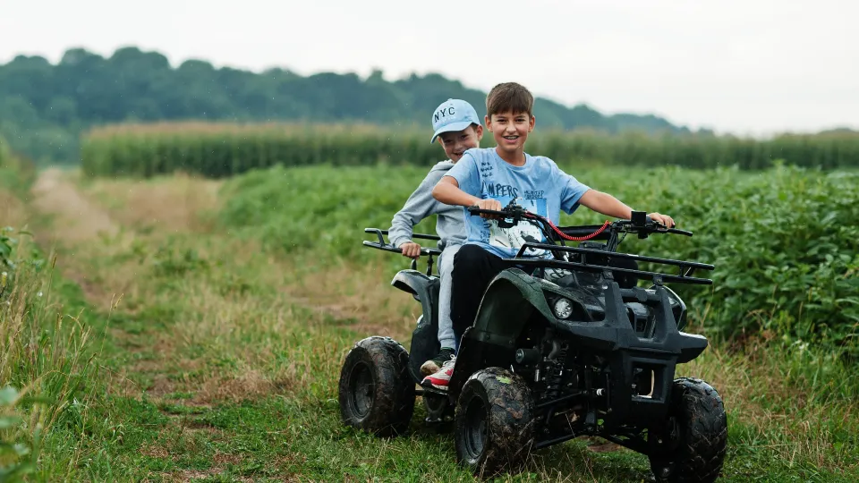 Фото: freepik.com