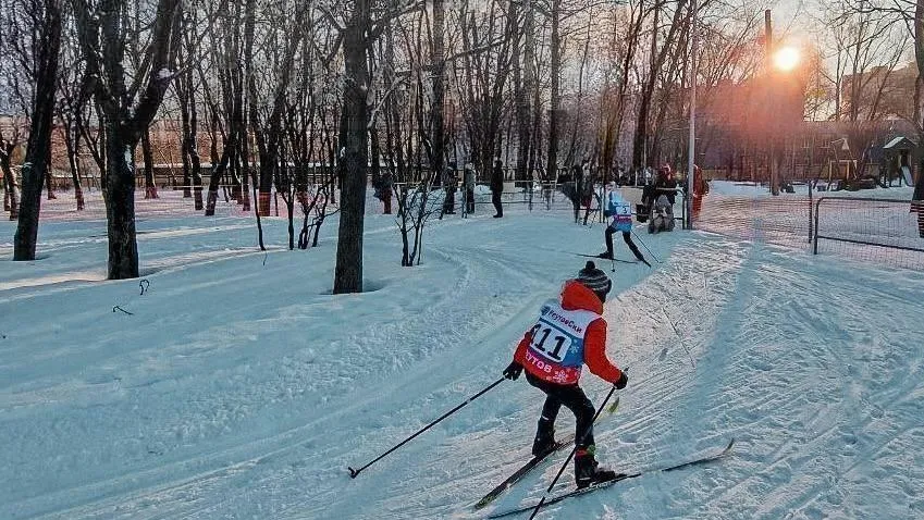 Фото: ТГ-канал "Парки города Реутов"