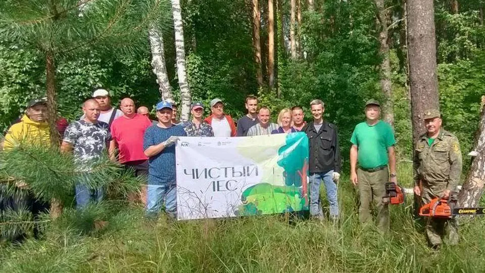 Фото: Комитет лесного хозяйства Московской области
