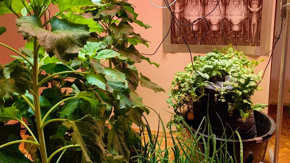 Фото: личный архив Александра Чусова