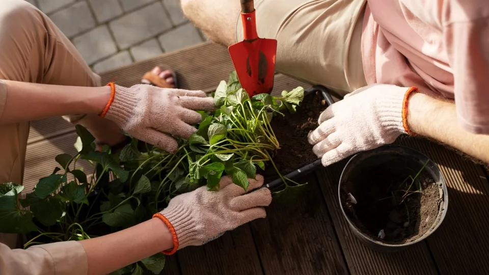 Фото: t.me/podolskadm