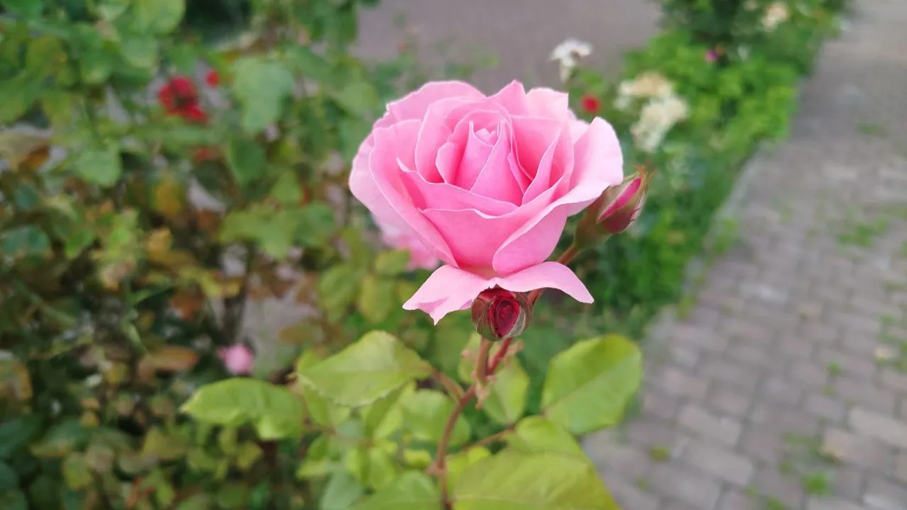 Фото: Юлия Куделькина