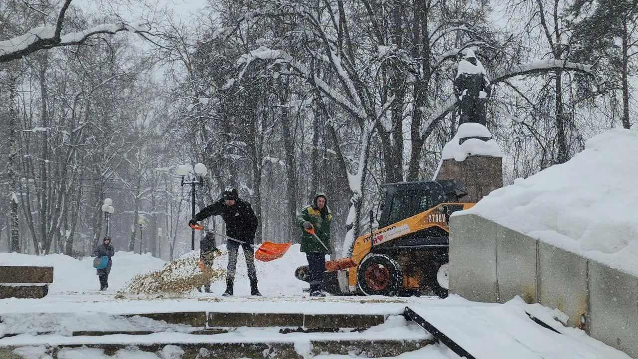 REGIONS/Артем Мишуков