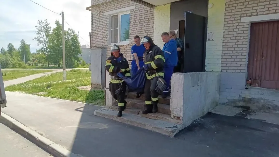 Картинка