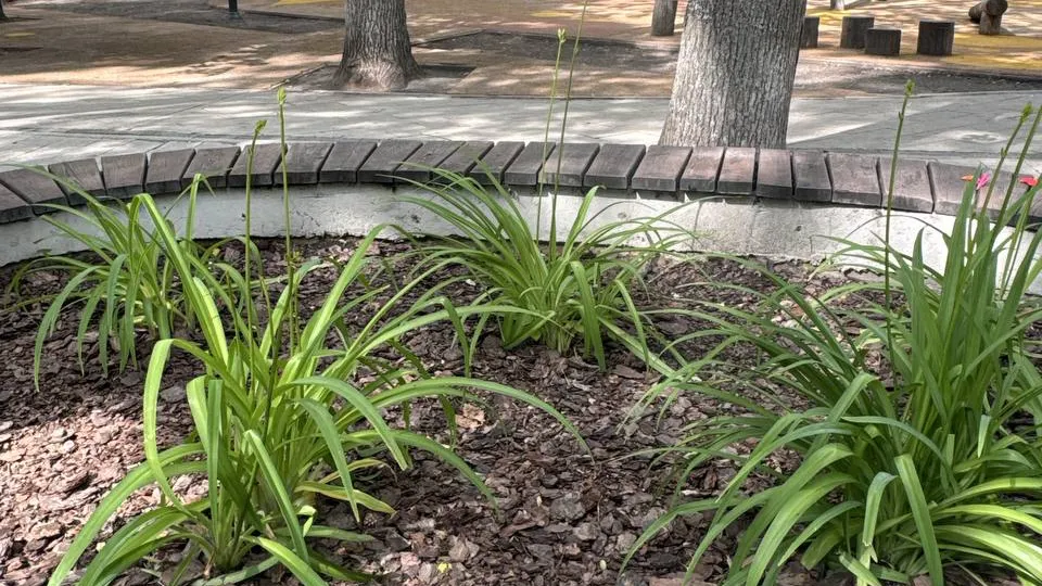 Фото: пресс-служба администрации г.о. Одинцово