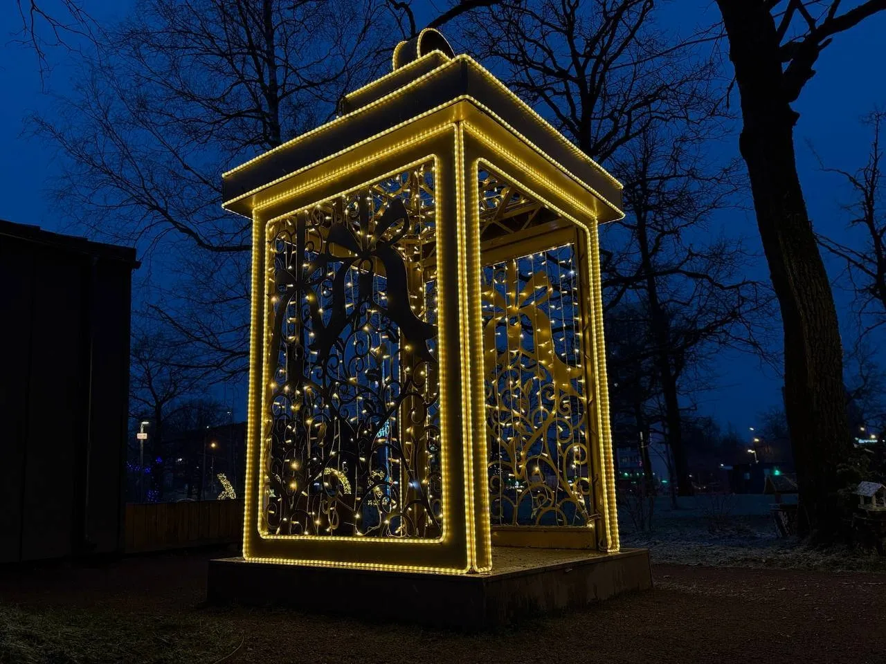 Фото: Фрязинский лесопарк