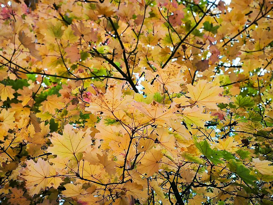 Фото: REGIONS/Роман&nbsp;Малышенко