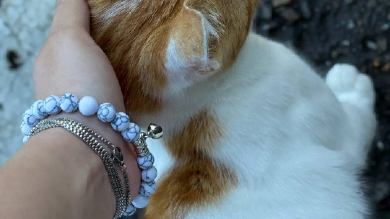 REGIONS/Дарья Кудинова