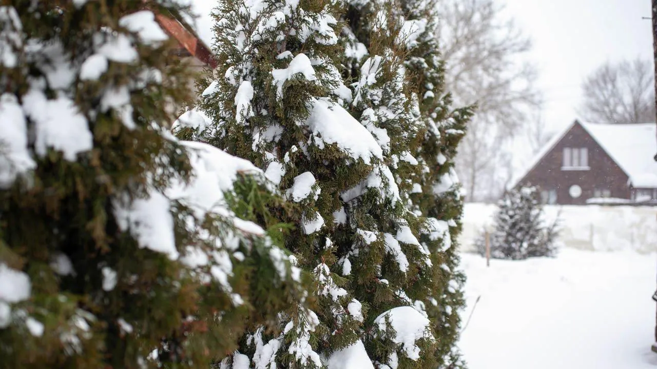 REGIONS/Дарина Левкина