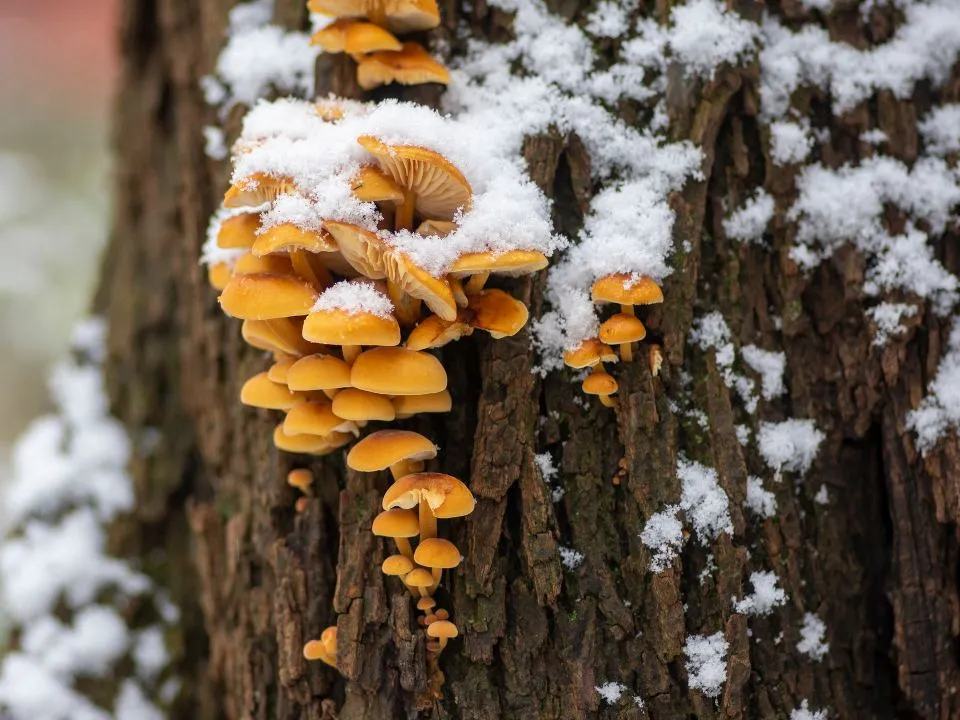 Фото: istockphoto.com