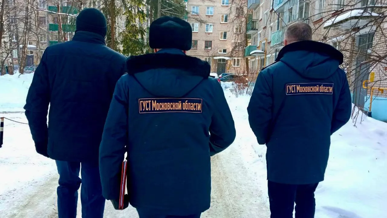 Источник: ГУСТ Московской области
