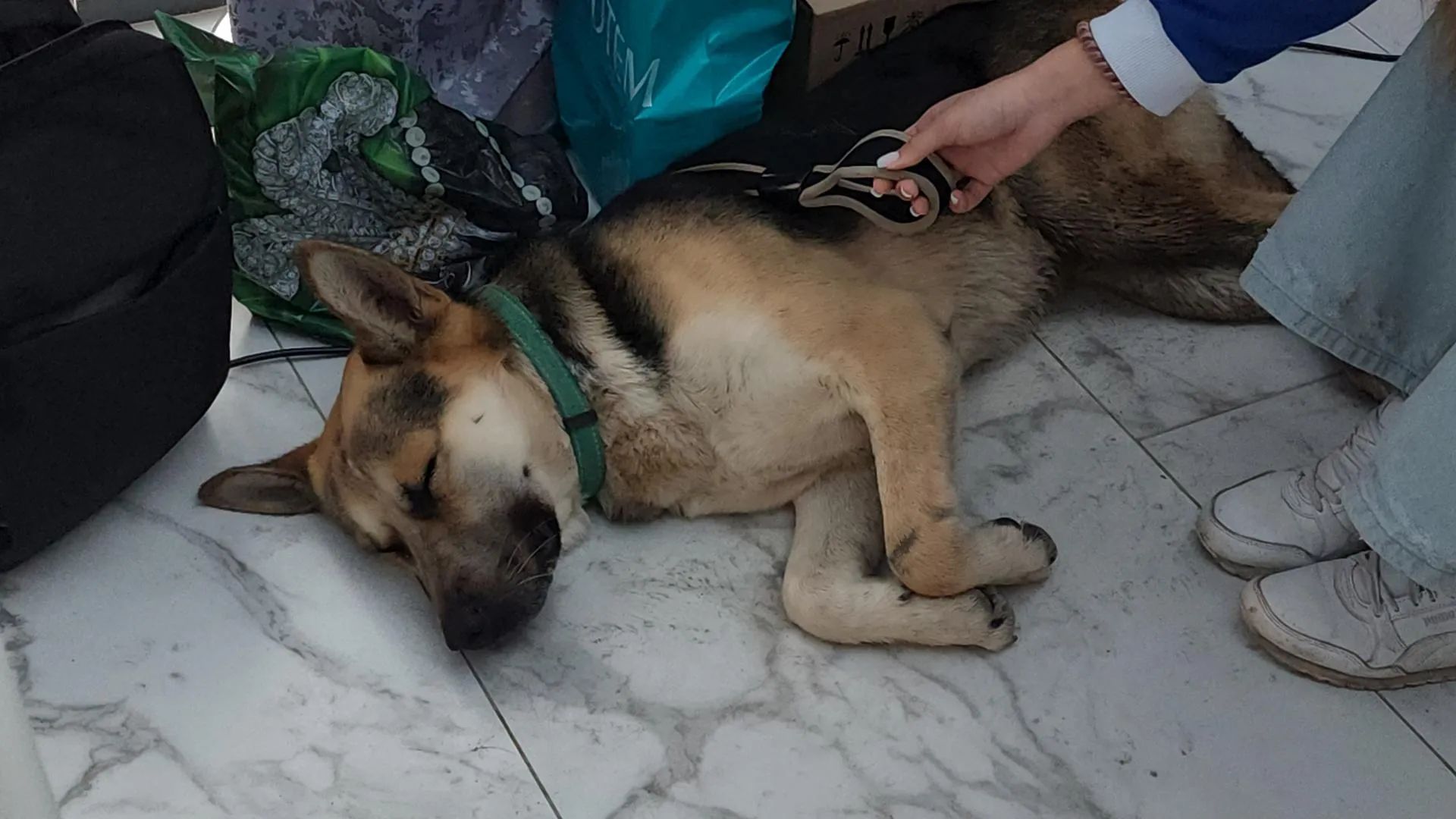 Фото: Анна Тюрюмина&nbsp; &nbsp; &nbsp; &nbsp; &nbsp;&nbsp;