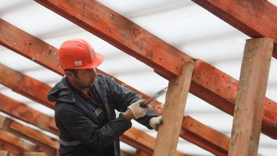 Фото: пресс-служба администрации Сергиево-Посадского г.о.