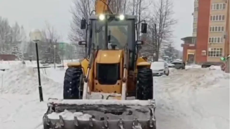 Фото: пресс-служба администрации г. о. Черноголовка