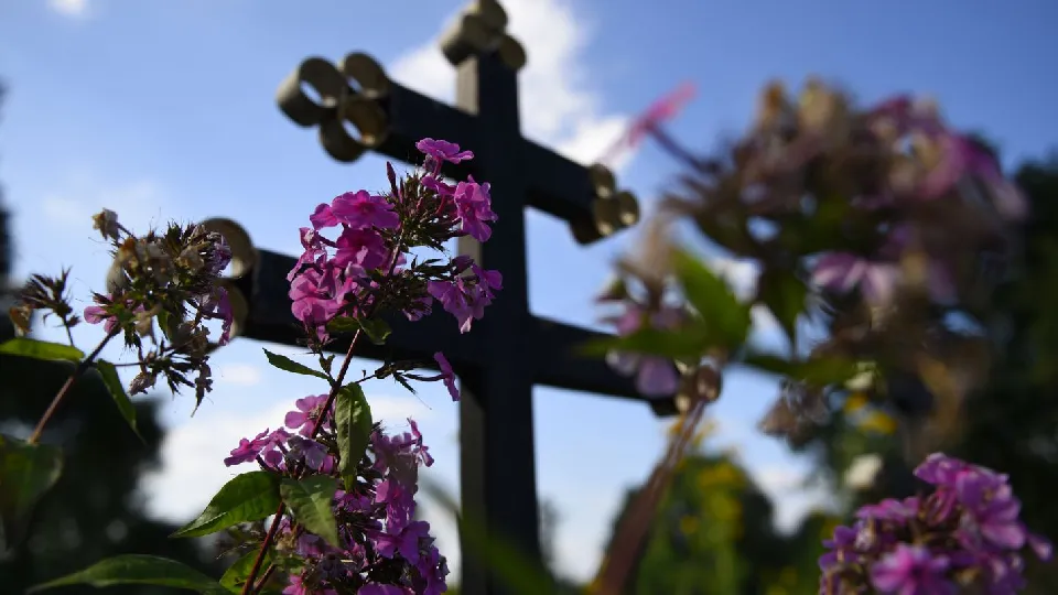 Фото: медиасток.рф