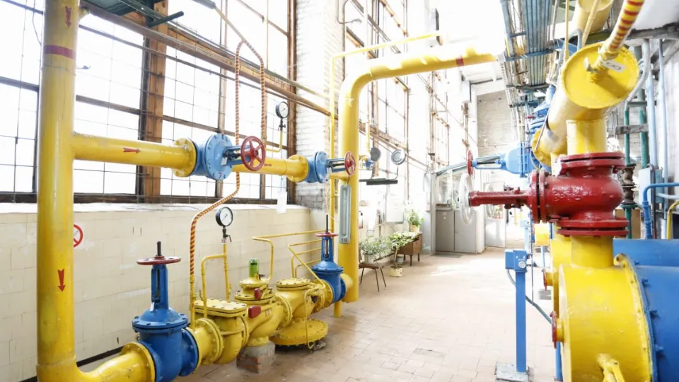 Фото: t.me/VorobievDmitrij