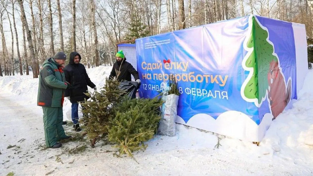 t.me/alexey_korolev_live