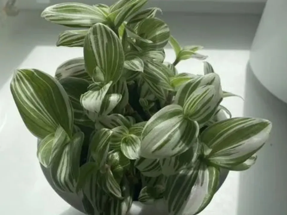 Фото: городская доска объявлений