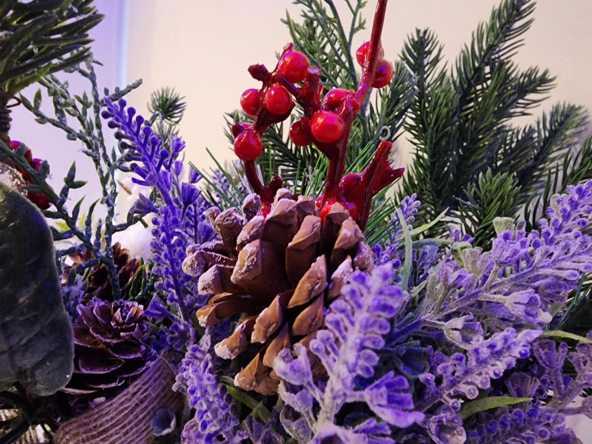 Фото: Ксения Пашуто