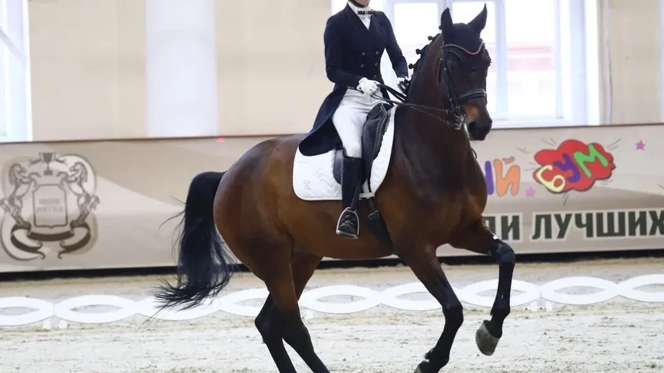 Фото: конноспортивный комплекс «Виват, Россия»