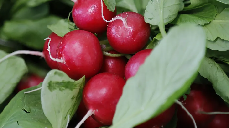 Фото: pxhere.com