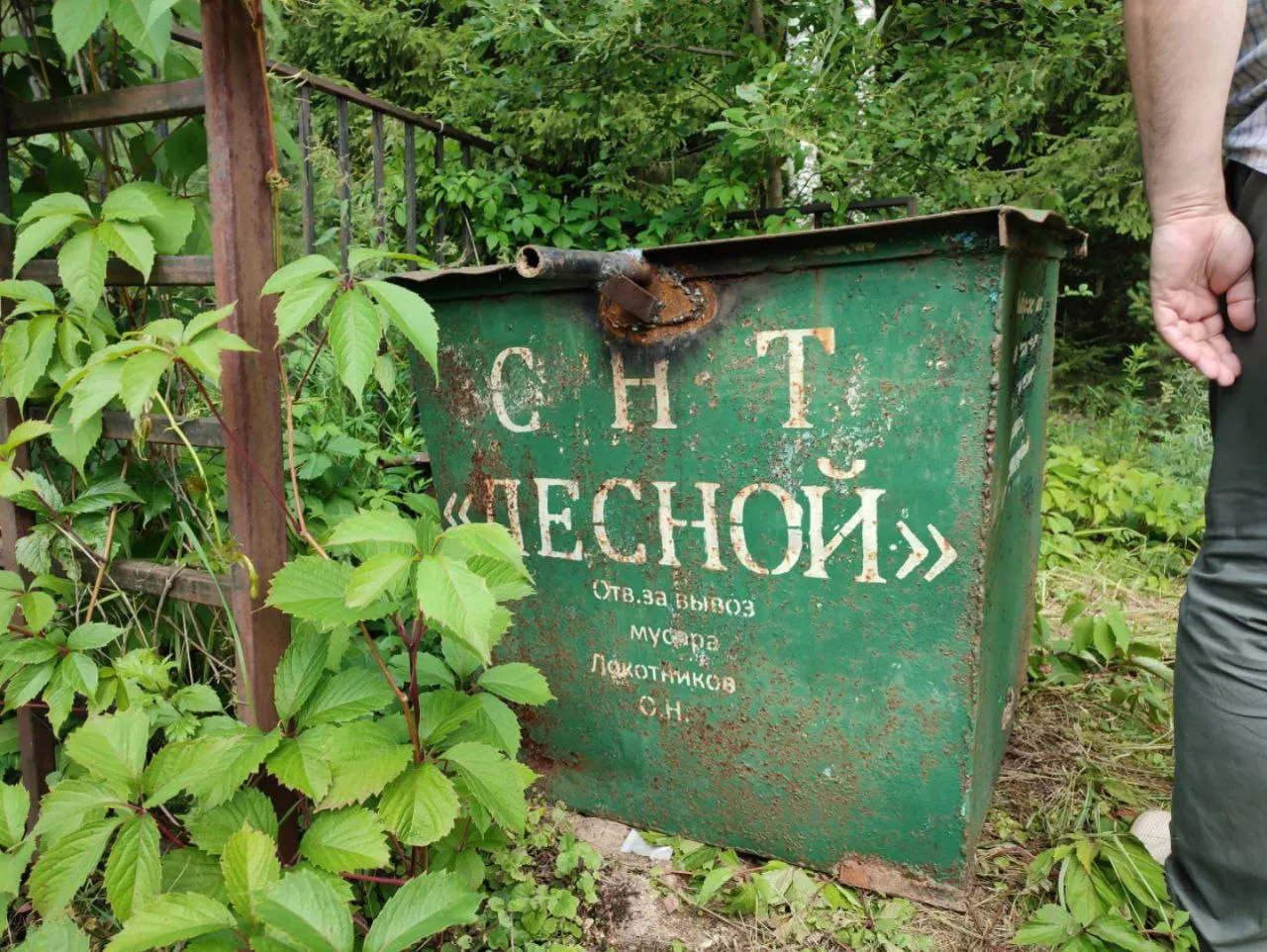 Фото: Анастасия Калмыкова