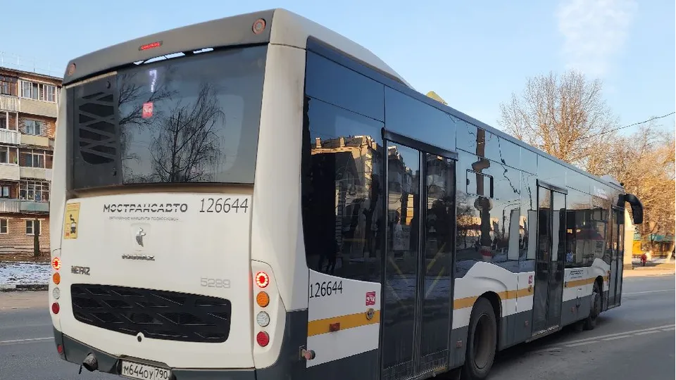 Фото: МедиаБанк Подмосковья/Алена Притула