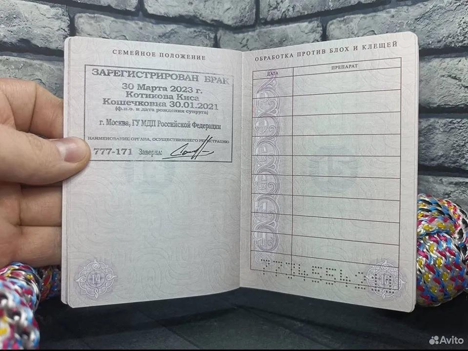 Фото: из личного архива Станислава