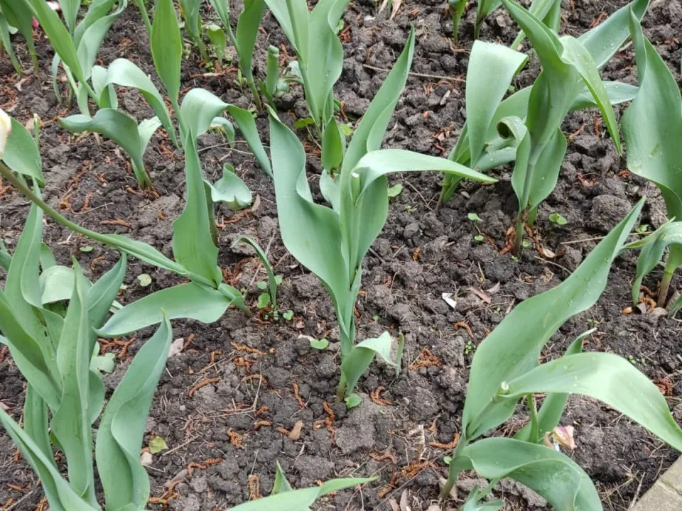 Фото: пресс-служба администрации Наро-Фоминского г.о.&nbsp; &nbsp;&nbsp;